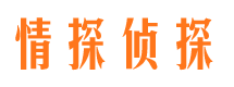 保定侦探